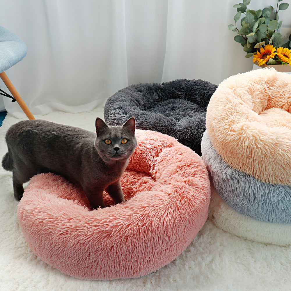2020 latest cat beds