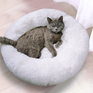 2020 latest cat beds