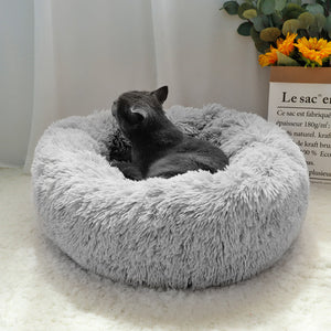 2020 latest cat beds