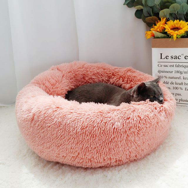 2020 latest cat beds