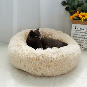 2020 latest cat beds