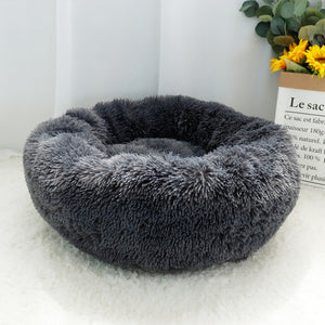 2020 latest cat beds