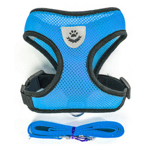 Nylon Mesh Cat Harness And Leash Breathable Kitten Cats