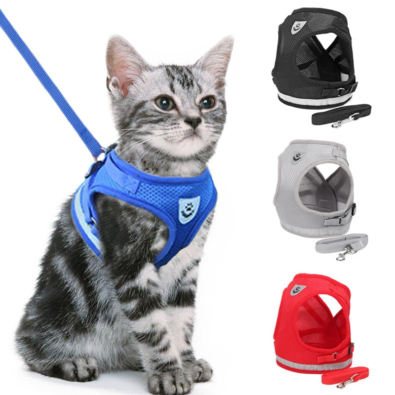 Cat Dog Adjustable Harness Vest Walking Lead Leash For Dogs & Cats