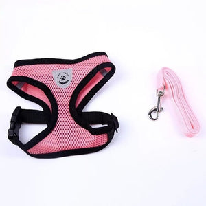 Cat Dog Adjustable Harness Vest Walking Lead Leash For Dogs & Cats