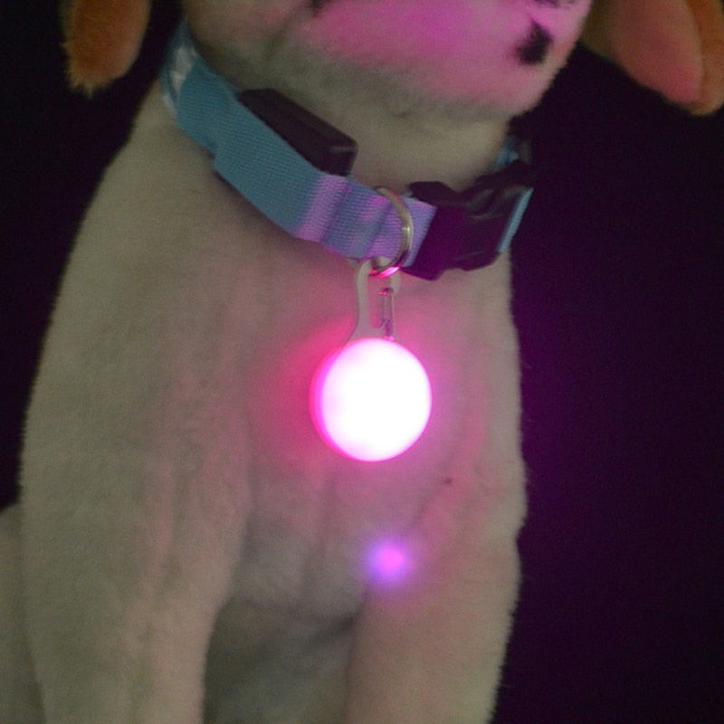 1 Pcs Pet Dog Cat LED Collar Pendant Night Safety Flashing 5 Color Luminous Collar Pendant