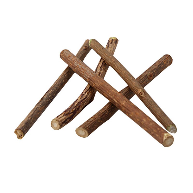 10pcs/lot Pet Cat Toys Natural Catnip Cat Molar Stick For Silvervine Teeth Cleaning