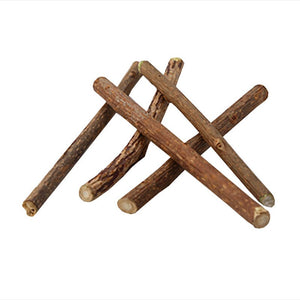 10pcs/lot Pet Cat Toys Natural Catnip Cat Molar Stick For Silvervine Teeth Cleaning